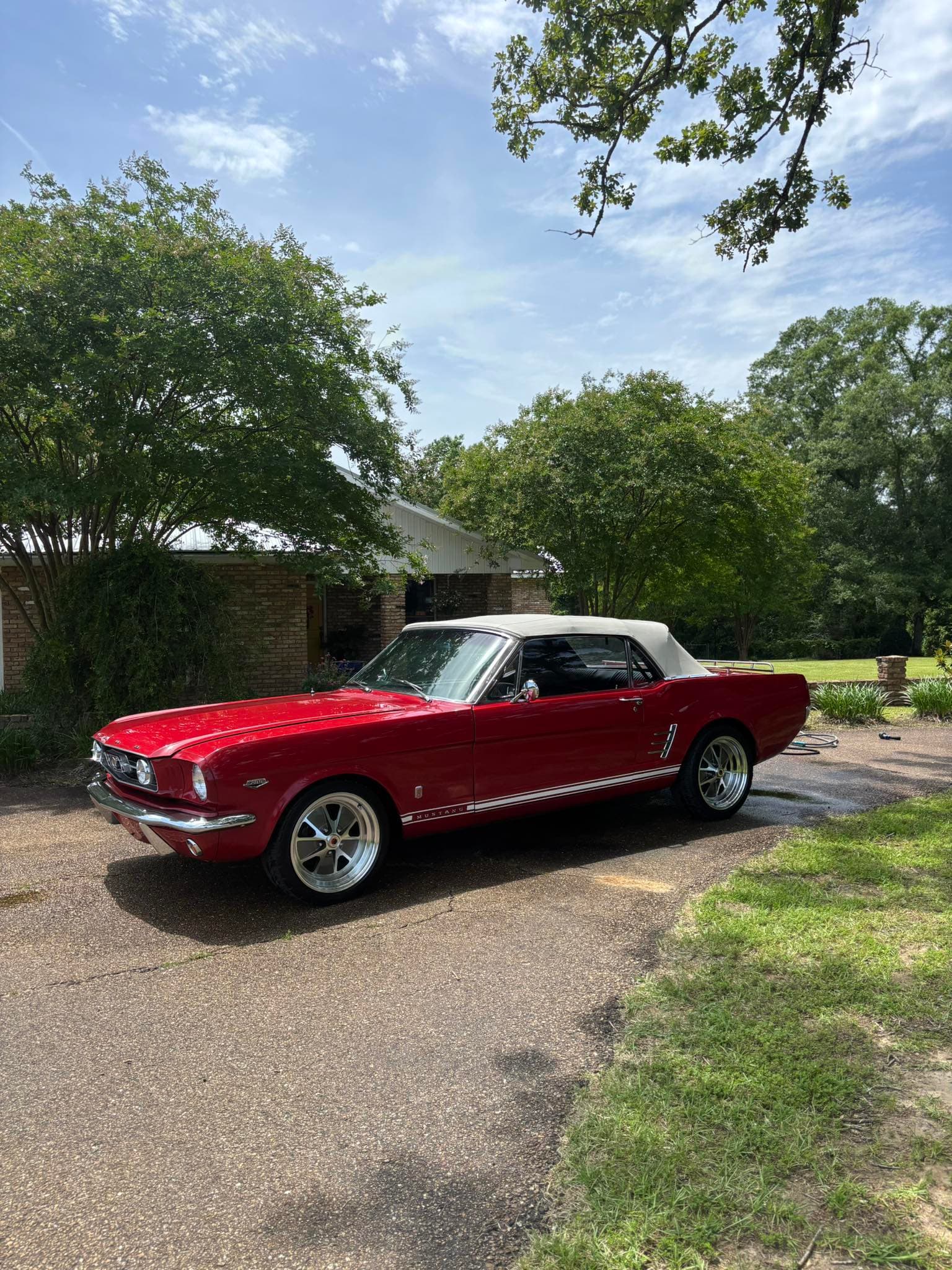 Mustang Background